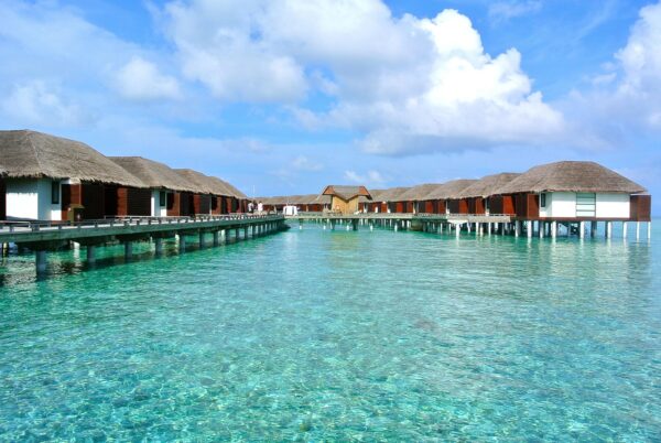 Maldive